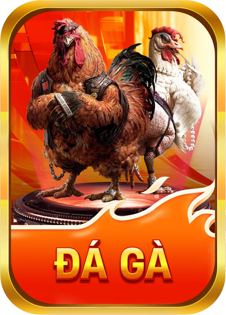 Trực tiếp đá gà U88
