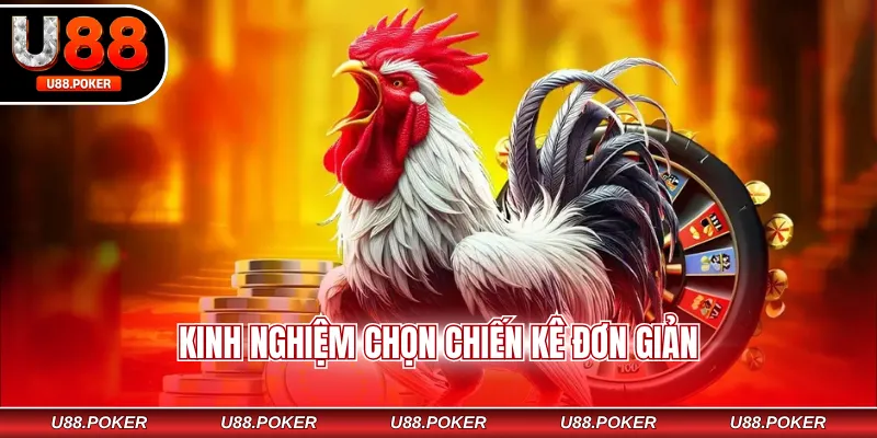 Kinh nghiệm chọn chiến kê đơn giản