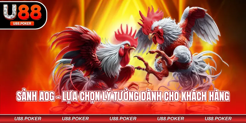 Sảnh AOG - Lựa chọn lý tưởng dành cho khách hàng